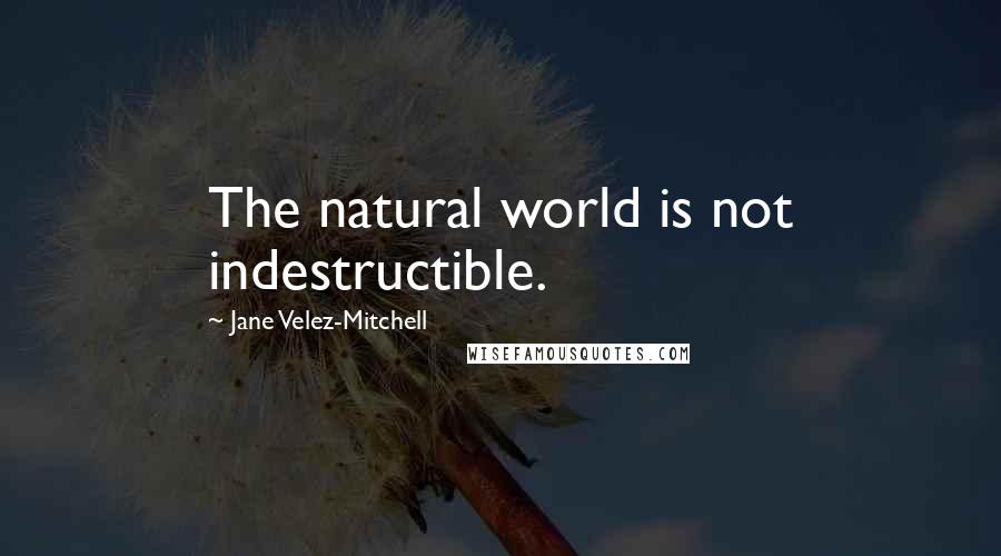 Jane Velez-Mitchell Quotes: The natural world is not indestructible.
