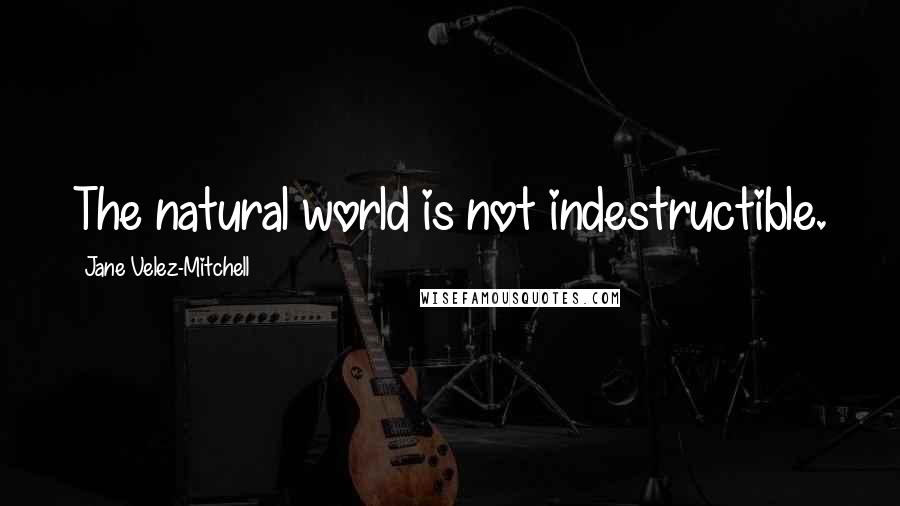 Jane Velez-Mitchell Quotes: The natural world is not indestructible.