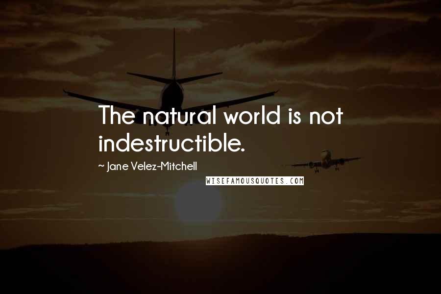 Jane Velez-Mitchell Quotes: The natural world is not indestructible.