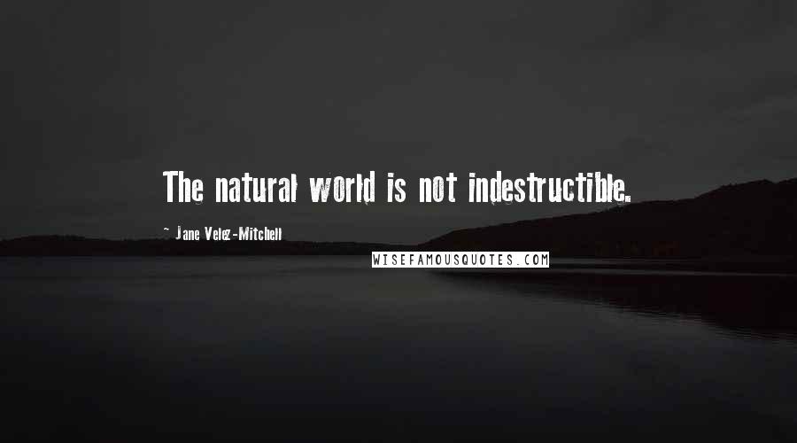 Jane Velez-Mitchell Quotes: The natural world is not indestructible.