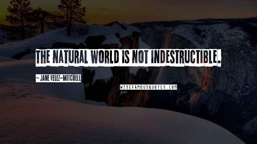 Jane Velez-Mitchell Quotes: The natural world is not indestructible.