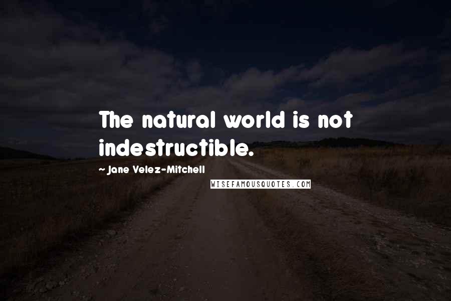 Jane Velez-Mitchell Quotes: The natural world is not indestructible.