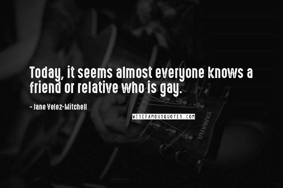 Jane Velez-Mitchell Quotes: Today, it seems almost everyone knows a friend or relative who is gay.