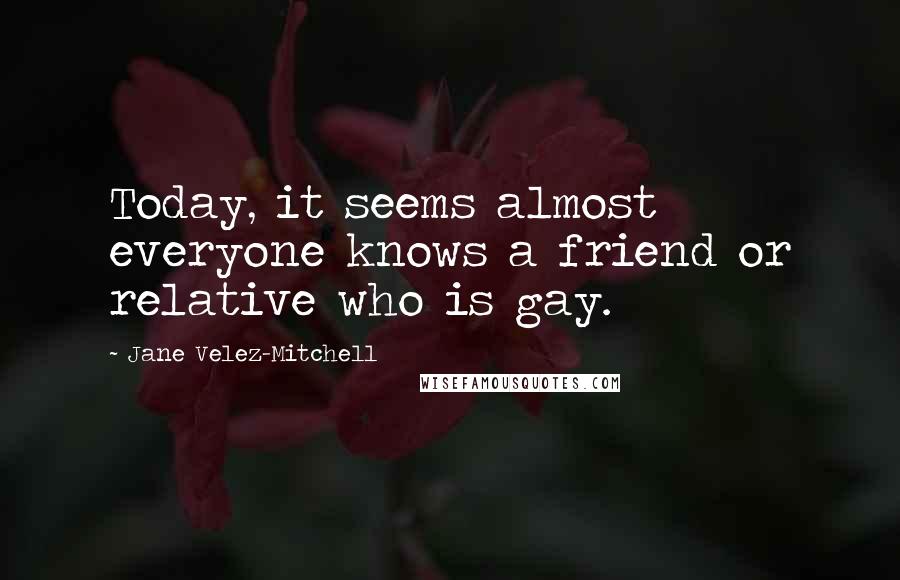 Jane Velez-Mitchell Quotes: Today, it seems almost everyone knows a friend or relative who is gay.