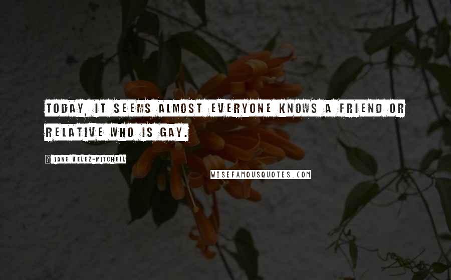 Jane Velez-Mitchell Quotes: Today, it seems almost everyone knows a friend or relative who is gay.