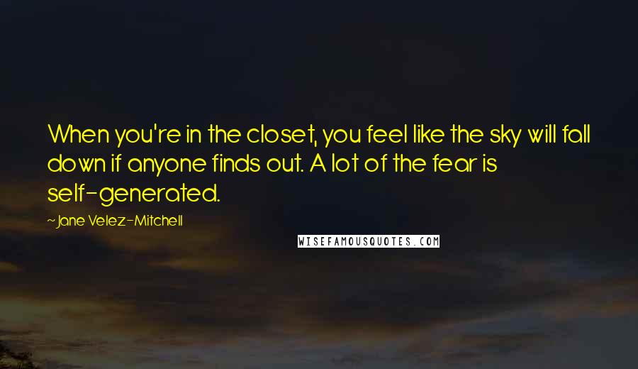 Jane Velez-Mitchell Quotes: When you're in the closet, you feel like the sky will fall down if anyone finds out. A lot of the fear is self-generated.