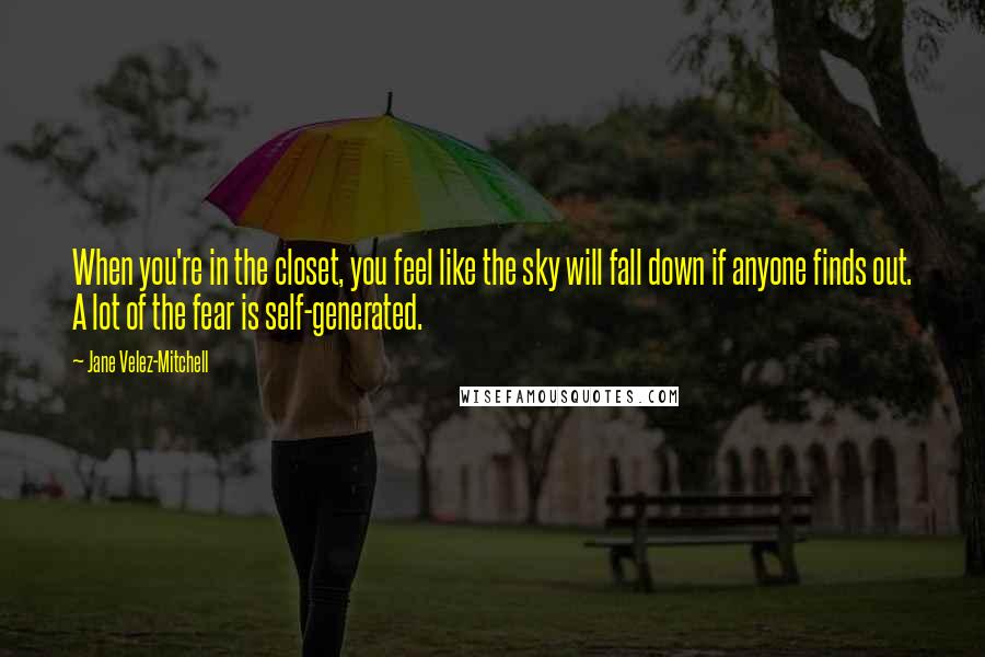 Jane Velez-Mitchell Quotes: When you're in the closet, you feel like the sky will fall down if anyone finds out. A lot of the fear is self-generated.