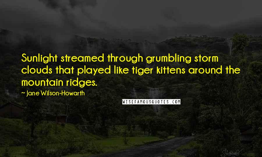 Jane Wilson-Howarth Quotes: Sunlight streamed through grumbling storm clouds that played like tiger kittens around the mountain ridges.