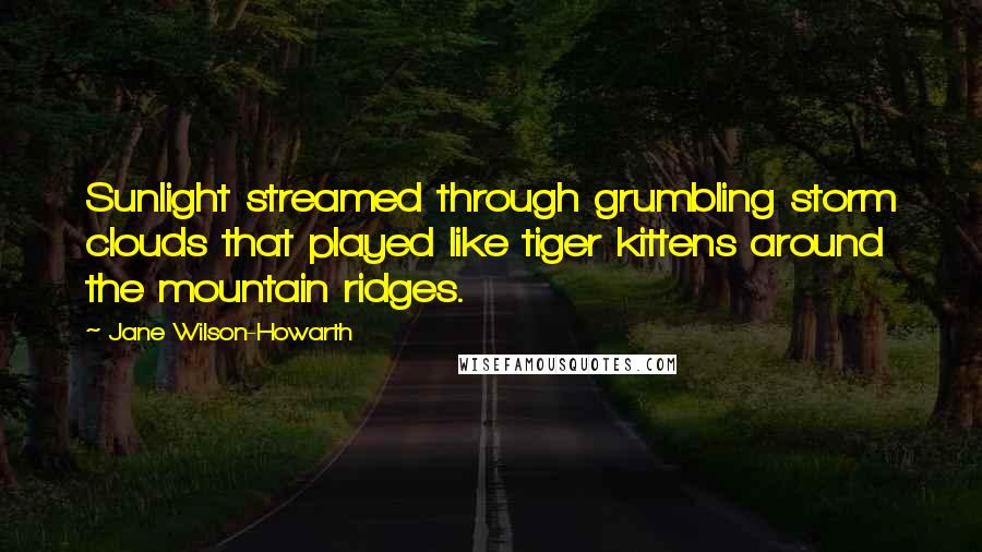 Jane Wilson-Howarth Quotes: Sunlight streamed through grumbling storm clouds that played like tiger kittens around the mountain ridges.