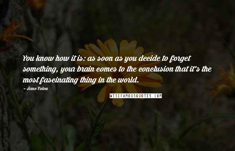 Jane Yolen Quotes: You know how it is: as soon as you decide to forget something, your brain comes to the conclusion that it's the most fascinating thing in the world.