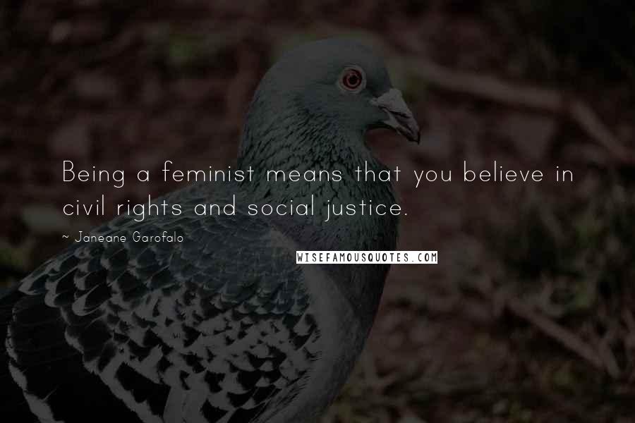 Janeane Garofalo Quotes: Being a feminist means that you believe in civil rights and social justice.