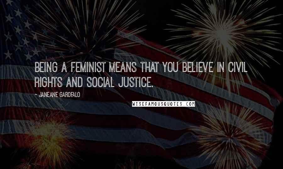 Janeane Garofalo Quotes: Being a feminist means that you believe in civil rights and social justice.