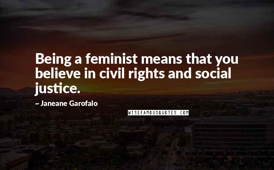 Janeane Garofalo Quotes: Being a feminist means that you believe in civil rights and social justice.