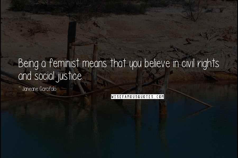 Janeane Garofalo Quotes: Being a feminist means that you believe in civil rights and social justice.