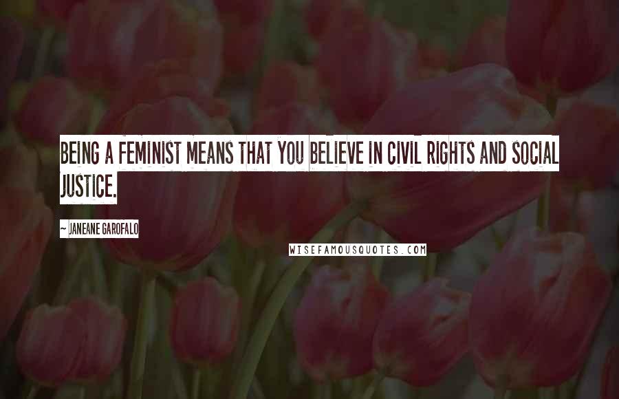 Janeane Garofalo Quotes: Being a feminist means that you believe in civil rights and social justice.