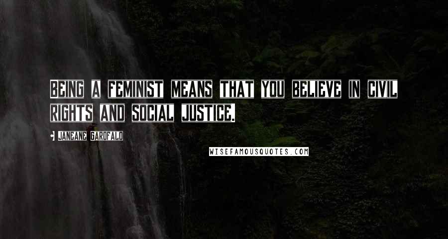 Janeane Garofalo Quotes: Being a feminist means that you believe in civil rights and social justice.