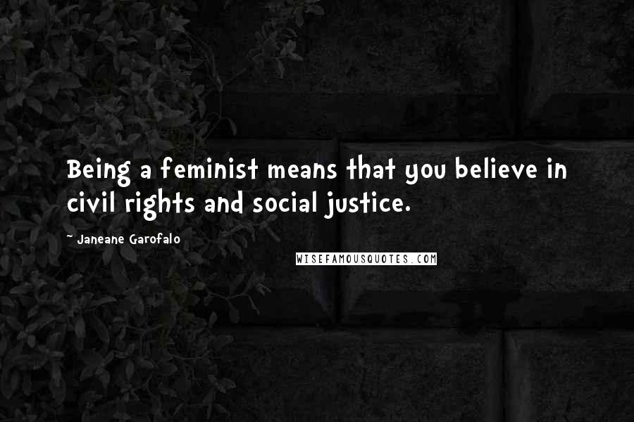 Janeane Garofalo Quotes: Being a feminist means that you believe in civil rights and social justice.