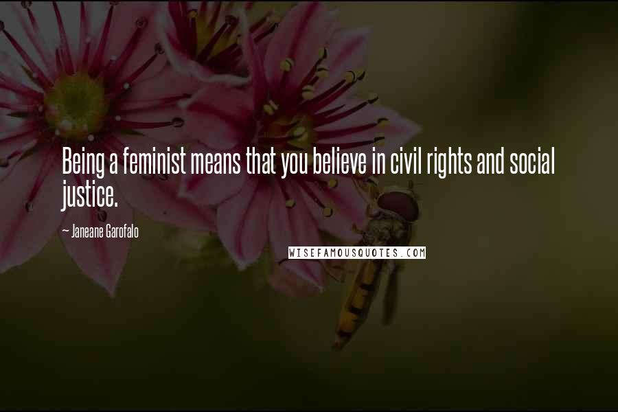 Janeane Garofalo Quotes: Being a feminist means that you believe in civil rights and social justice.