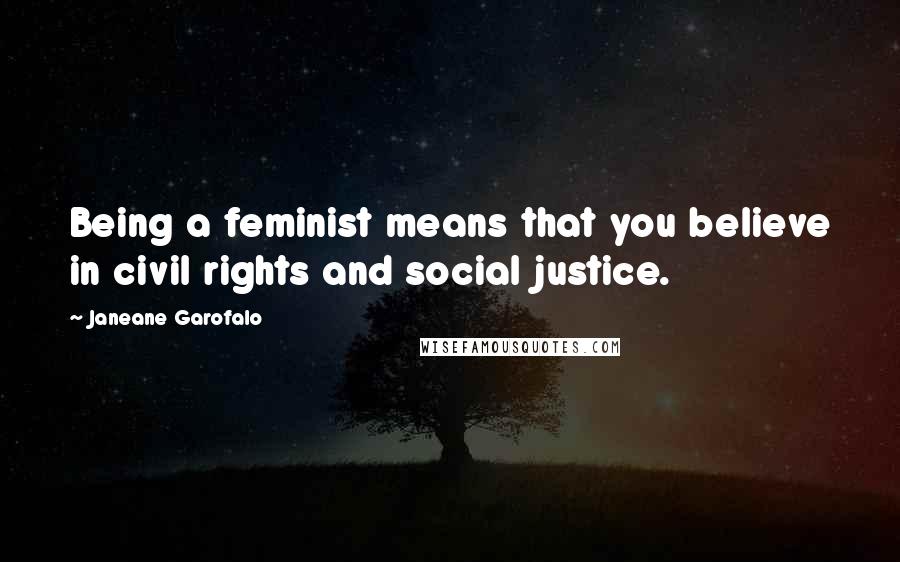 Janeane Garofalo Quotes: Being a feminist means that you believe in civil rights and social justice.