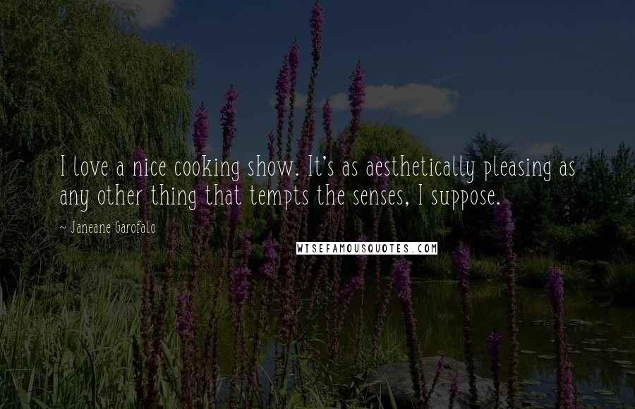 Janeane Garofalo Quotes: I love a nice cooking show. It's as aesthetically pleasing as any other thing that tempts the senses, I suppose.