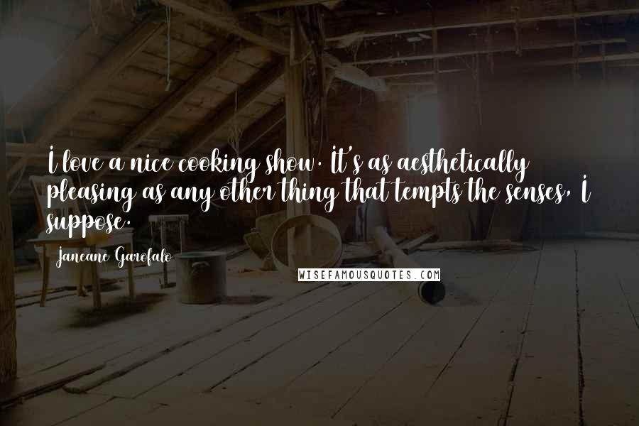 Janeane Garofalo Quotes: I love a nice cooking show. It's as aesthetically pleasing as any other thing that tempts the senses, I suppose.