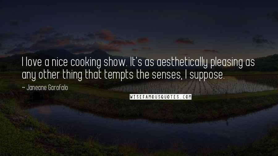 Janeane Garofalo Quotes: I love a nice cooking show. It's as aesthetically pleasing as any other thing that tempts the senses, I suppose.