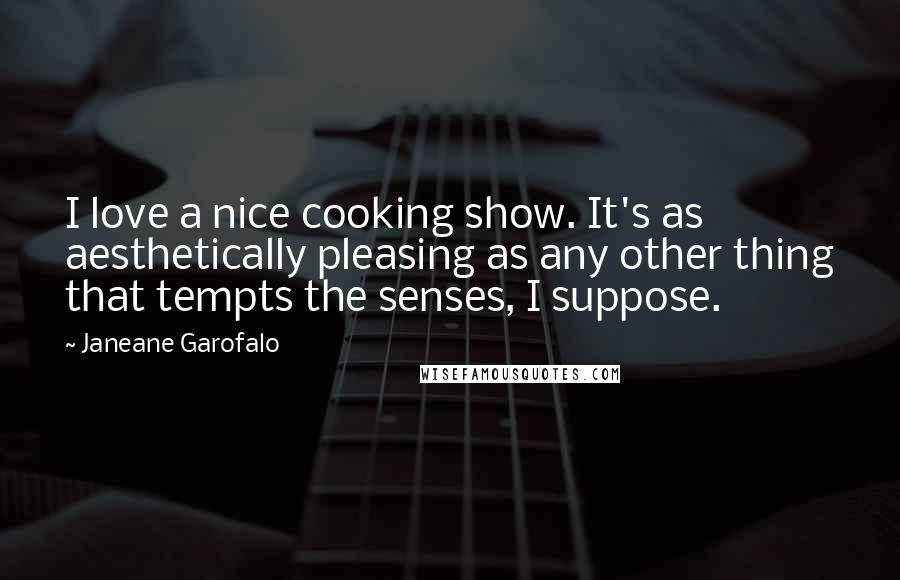 Janeane Garofalo Quotes: I love a nice cooking show. It's as aesthetically pleasing as any other thing that tempts the senses, I suppose.