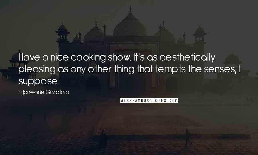 Janeane Garofalo Quotes: I love a nice cooking show. It's as aesthetically pleasing as any other thing that tempts the senses, I suppose.