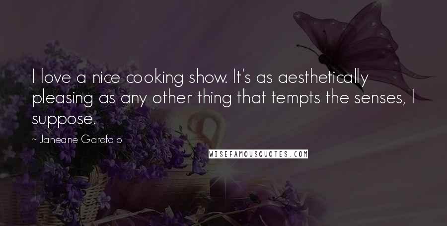 Janeane Garofalo Quotes: I love a nice cooking show. It's as aesthetically pleasing as any other thing that tempts the senses, I suppose.