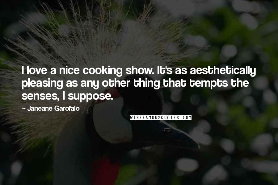 Janeane Garofalo Quotes: I love a nice cooking show. It's as aesthetically pleasing as any other thing that tempts the senses, I suppose.