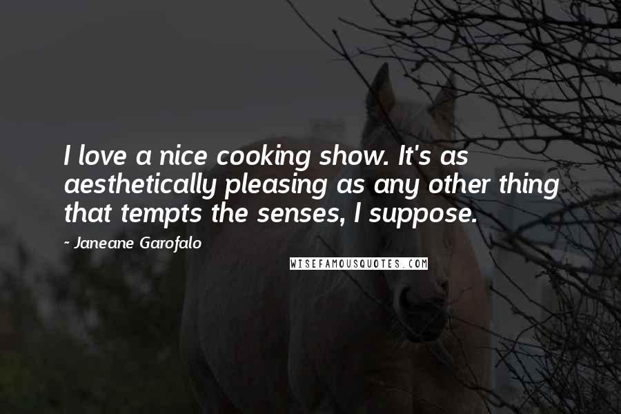 Janeane Garofalo Quotes: I love a nice cooking show. It's as aesthetically pleasing as any other thing that tempts the senses, I suppose.