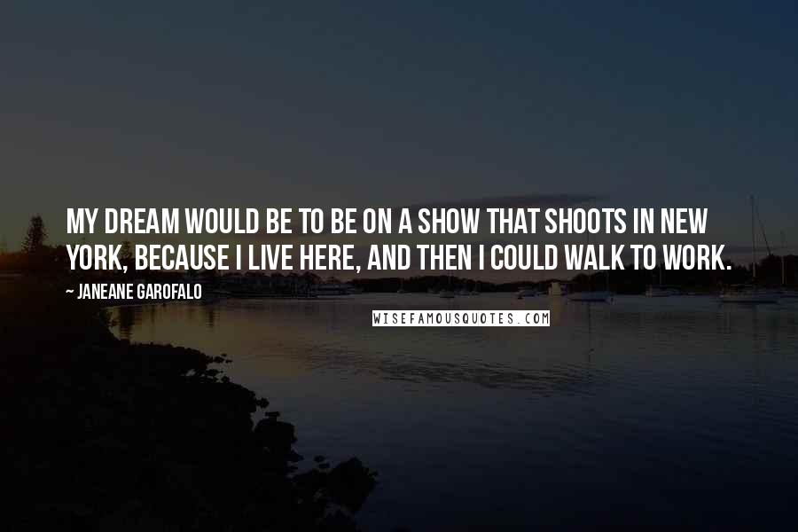 Janeane Garofalo Quotes: My dream would be to be on a show that shoots in New York, because I live here, and then I could walk to work.