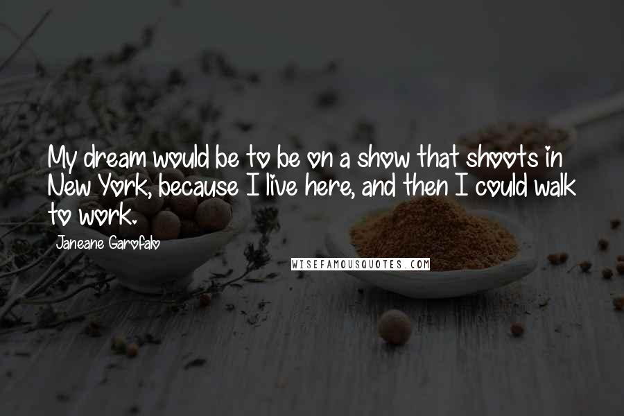 Janeane Garofalo Quotes: My dream would be to be on a show that shoots in New York, because I live here, and then I could walk to work.