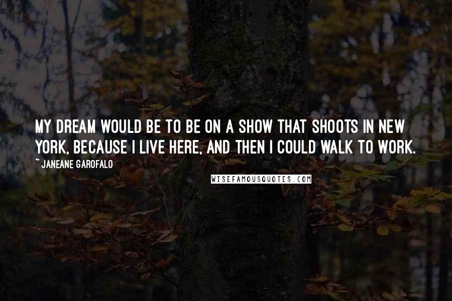 Janeane Garofalo Quotes: My dream would be to be on a show that shoots in New York, because I live here, and then I could walk to work.