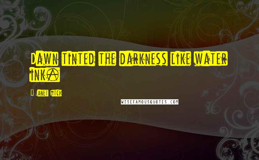 Janet Fitch Quotes: Dawn tinted the darkness like water ink.