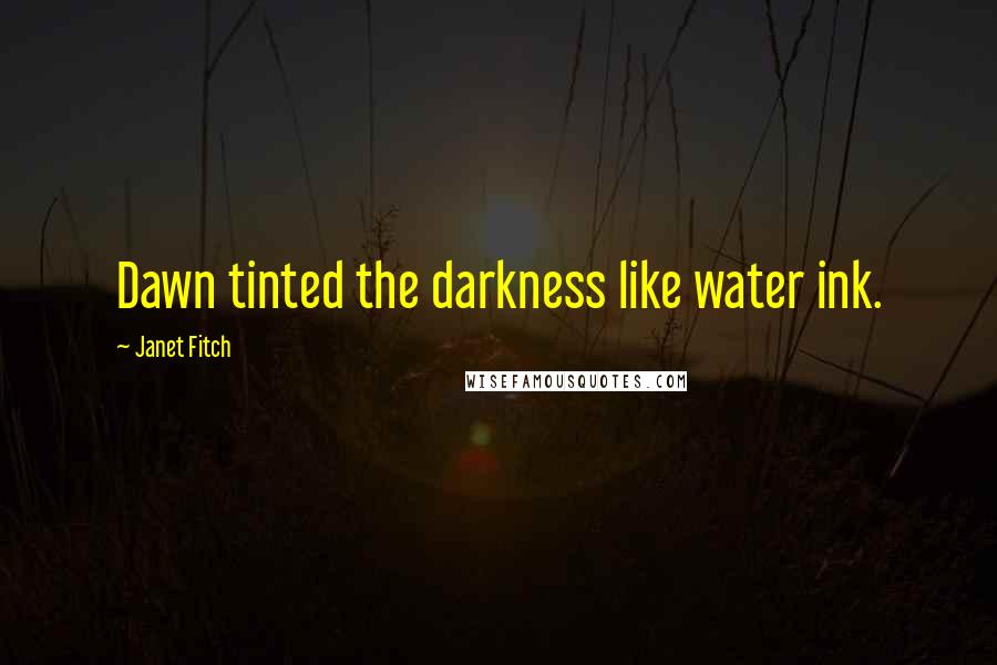 Janet Fitch Quotes: Dawn tinted the darkness like water ink.