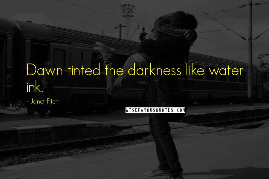 Janet Fitch Quotes: Dawn tinted the darkness like water ink.