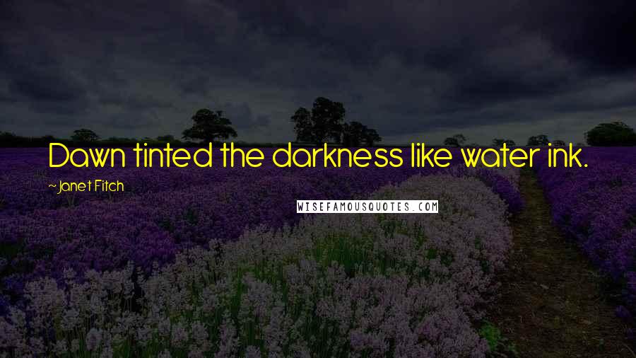 Janet Fitch Quotes: Dawn tinted the darkness like water ink.