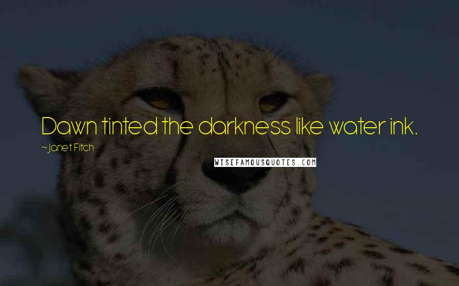 Janet Fitch Quotes: Dawn tinted the darkness like water ink.