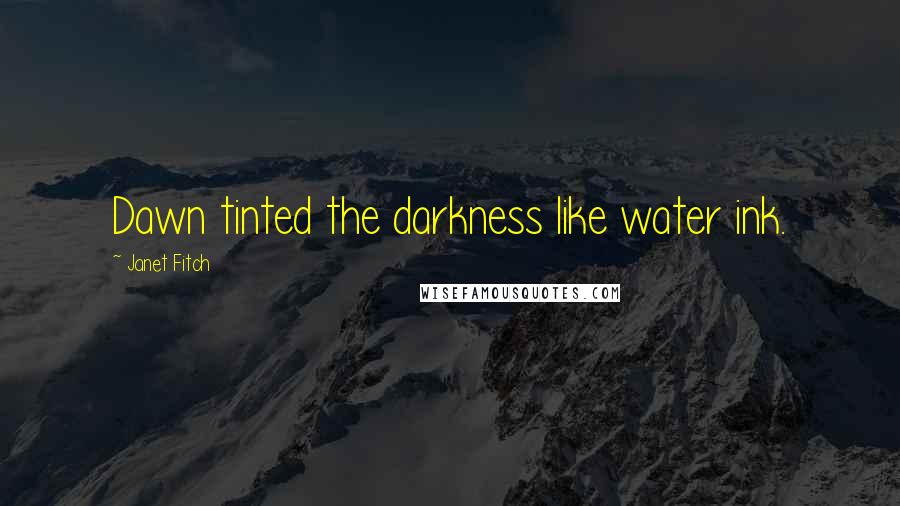 Janet Fitch Quotes: Dawn tinted the darkness like water ink.