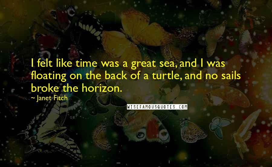 Janet Fitch Quotes: I felt like time was a great sea, and I was floating on the back of a turtle, and no sails broke the horizon.