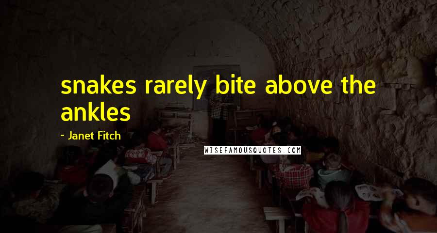 Janet Fitch Quotes: snakes rarely bite above the ankles