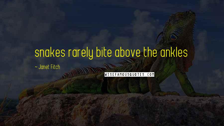 Janet Fitch Quotes: snakes rarely bite above the ankles