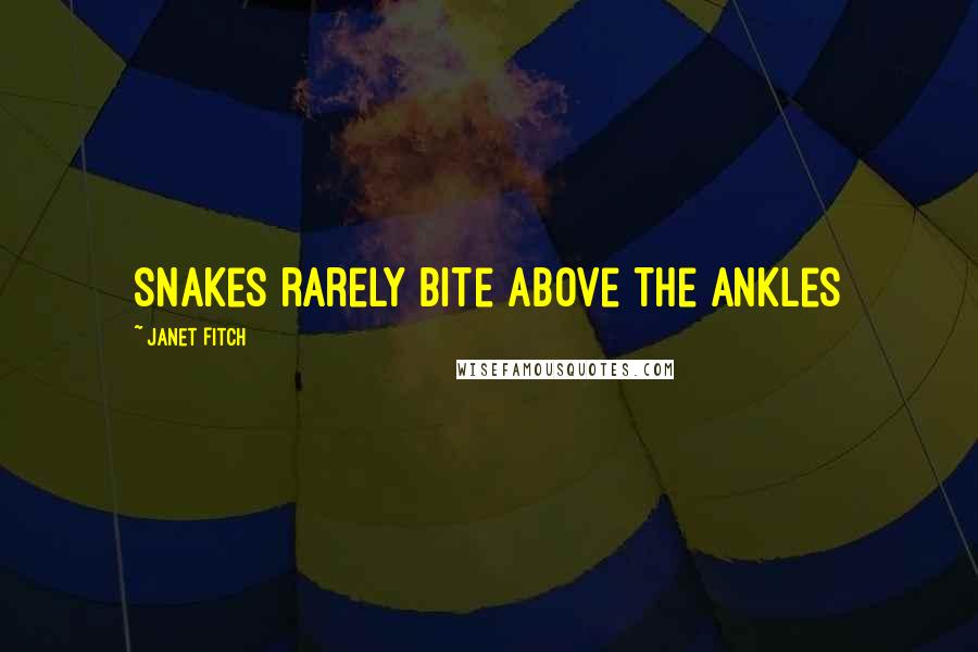 Janet Fitch Quotes: snakes rarely bite above the ankles