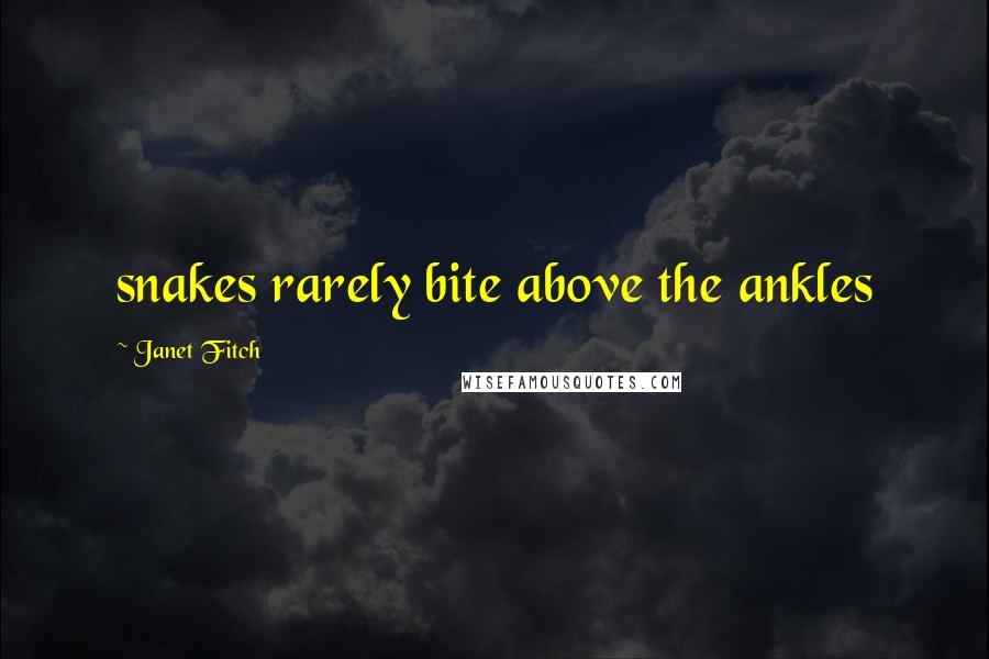 Janet Fitch Quotes: snakes rarely bite above the ankles