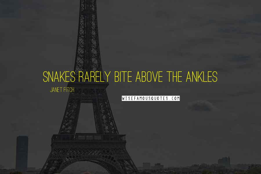 Janet Fitch Quotes: snakes rarely bite above the ankles