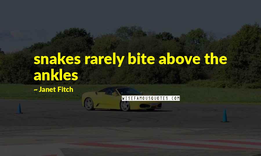 Janet Fitch Quotes: snakes rarely bite above the ankles