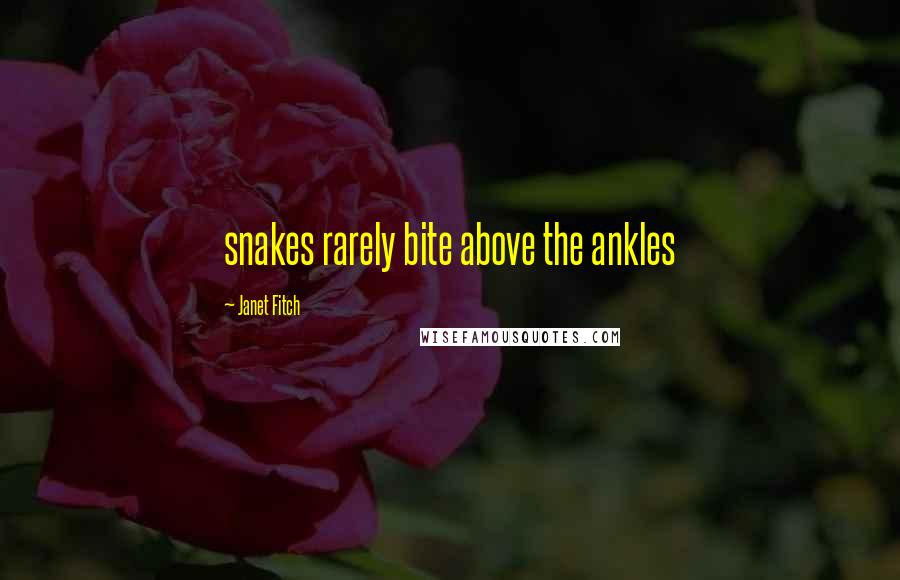 Janet Fitch Quotes: snakes rarely bite above the ankles
