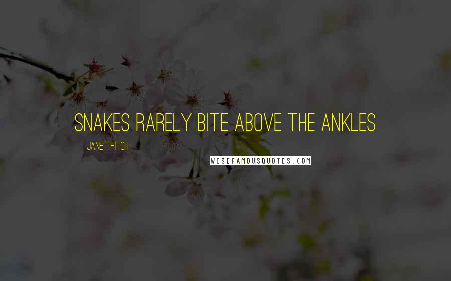 Janet Fitch Quotes: snakes rarely bite above the ankles