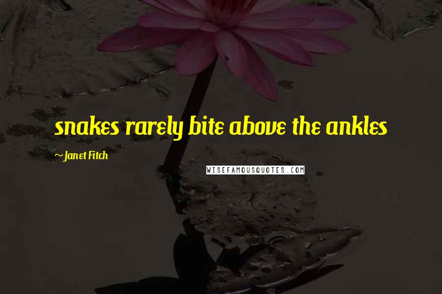 Janet Fitch Quotes: snakes rarely bite above the ankles